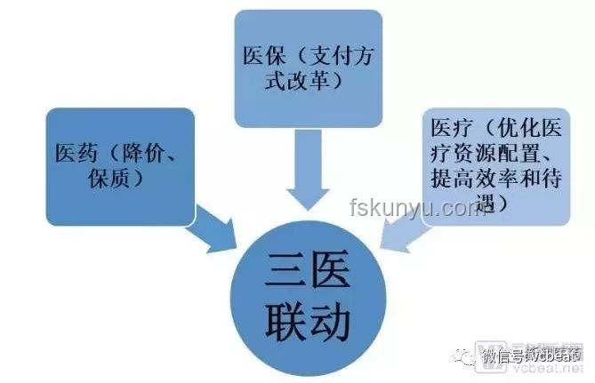 俄乌局势新视角：创新思维下的和平变量探索